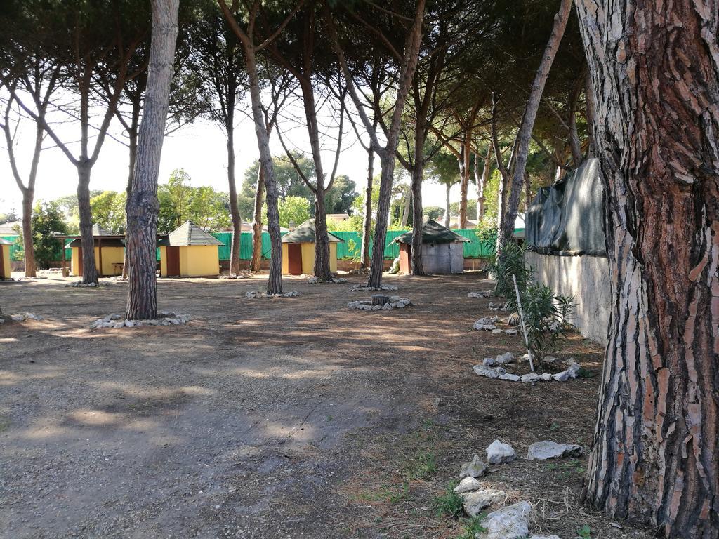 Paradiso Hotel Tarquinia